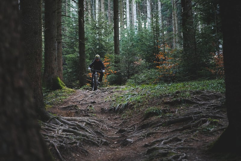 Historical trails